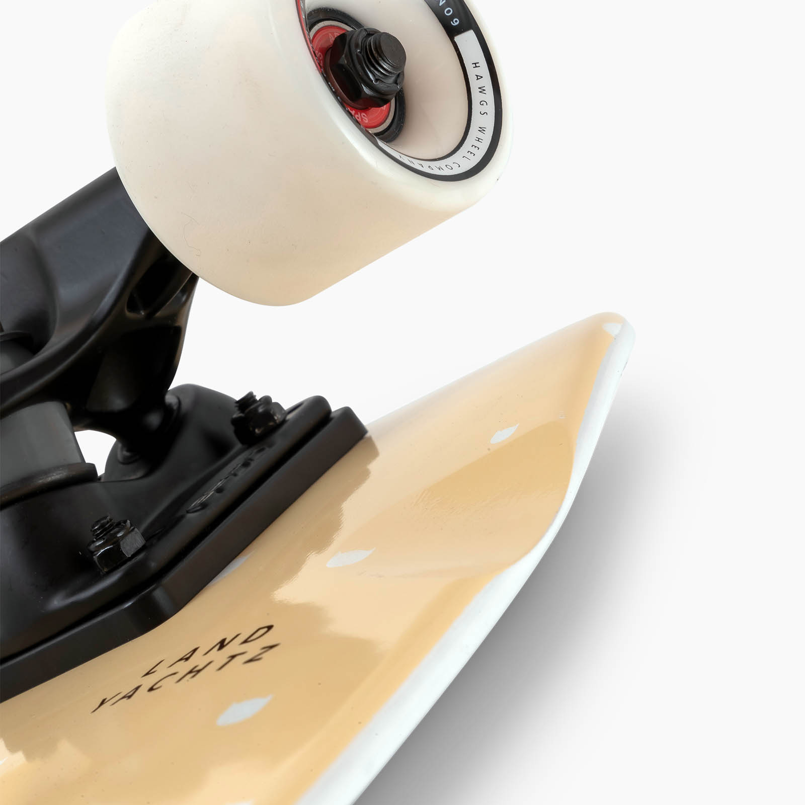 120CP-UBDYBLMW-Cruiser-Dinghy-Blunt-Meowijuana-5_AD_4982-WEB