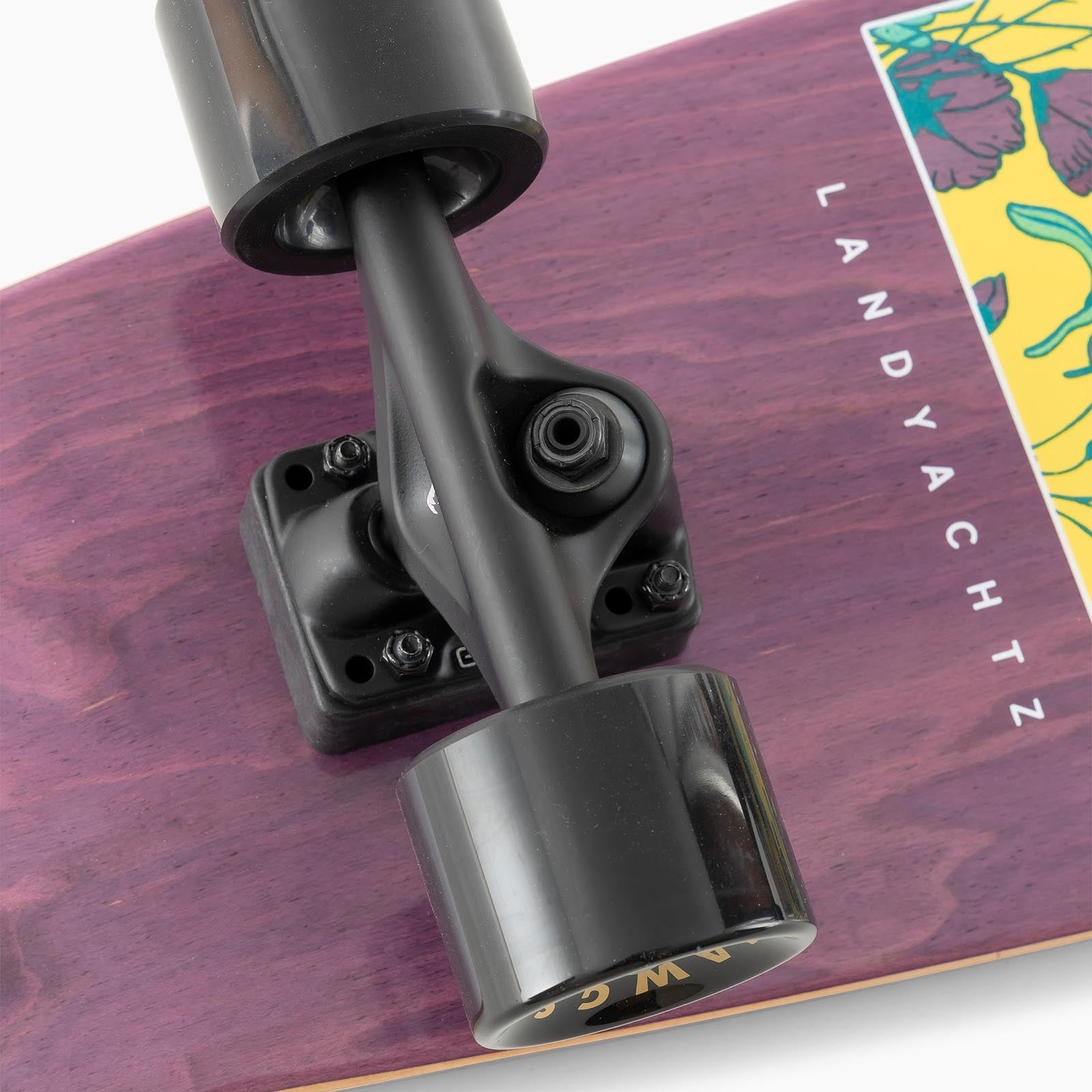 122CP-SSPKBOT-PocketKnifeBotanicalskateboard5_AD_0208-WEB