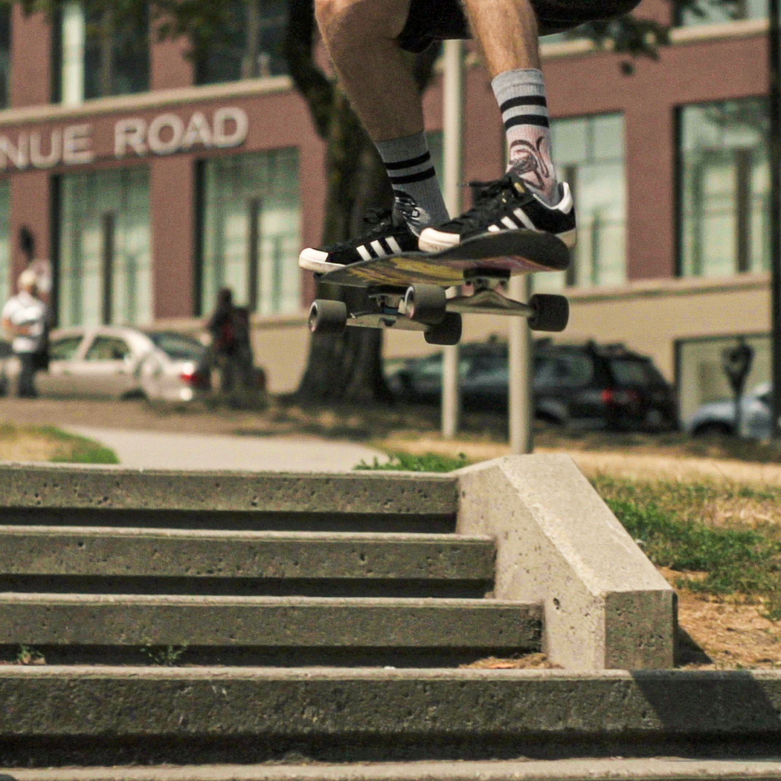 Gordito Polar Bear 180 Ollie