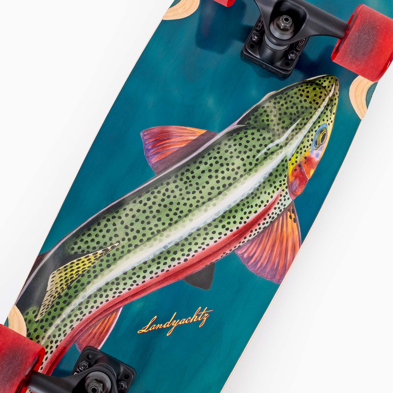 Raft - Trout V2 07 WEB